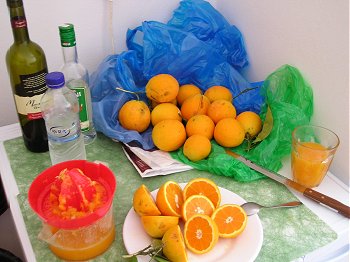 Friskpresset appelsinjuice, Ouzo og Retzina (Epidauros)